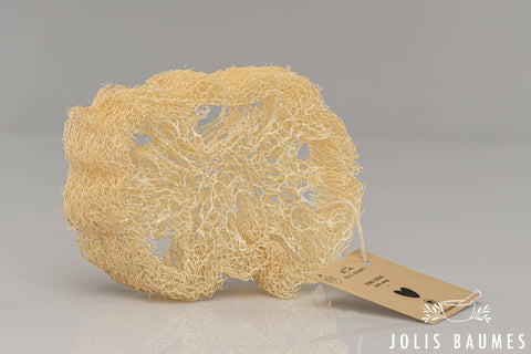 Loofah-spons uit Egypte – Natuurlijke scrub & Zero Waste